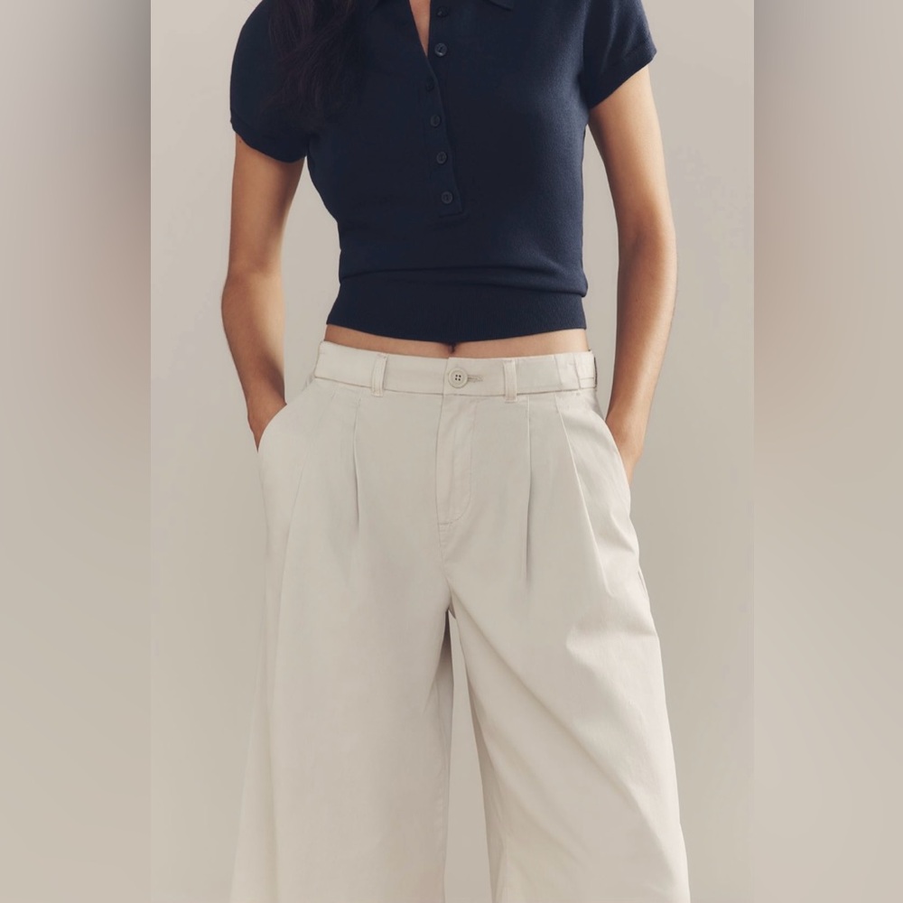 Anthropologie Low Rise Pleated Wide Leg Trousers In: Vaporous Gray - Picture 5 of 7